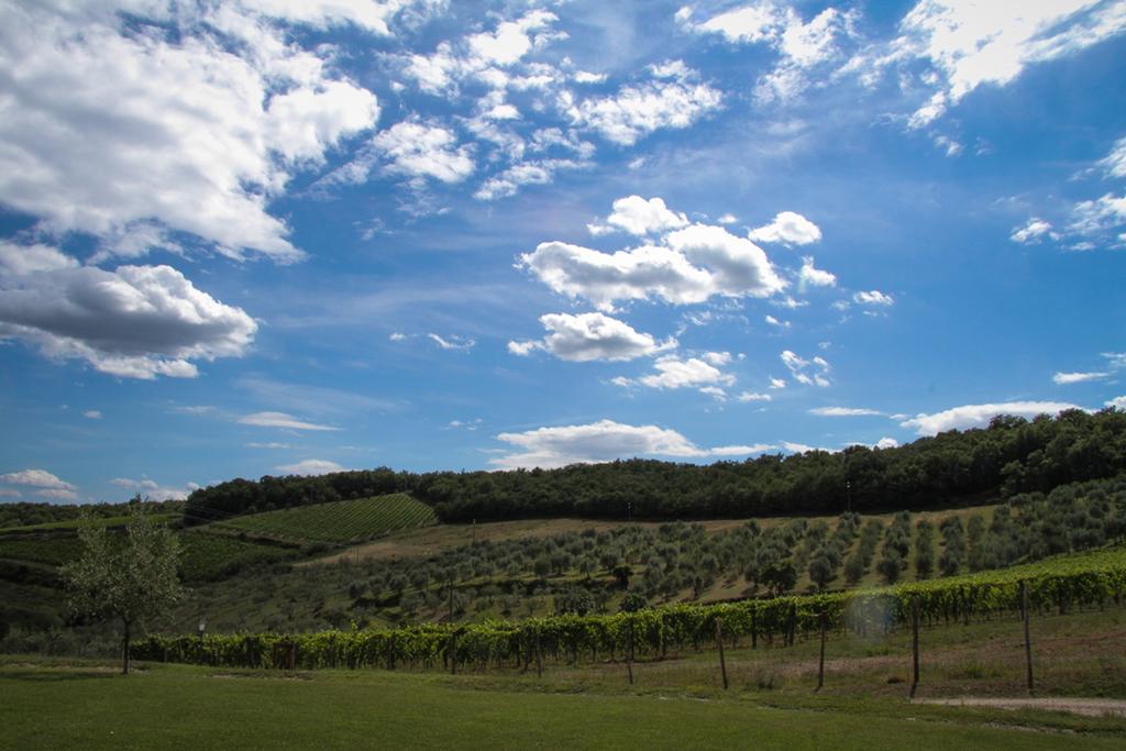 Agriturismo Panzanello Panzano in Chianti Exteriör bild