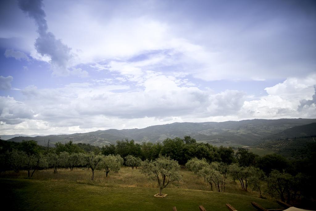 Agriturismo Panzanello Panzano in Chianti Exteriör bild